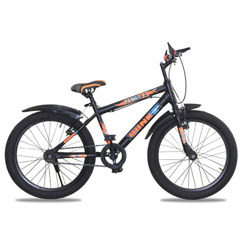 Ashoka Hunk 20T Non IBC Bicycles