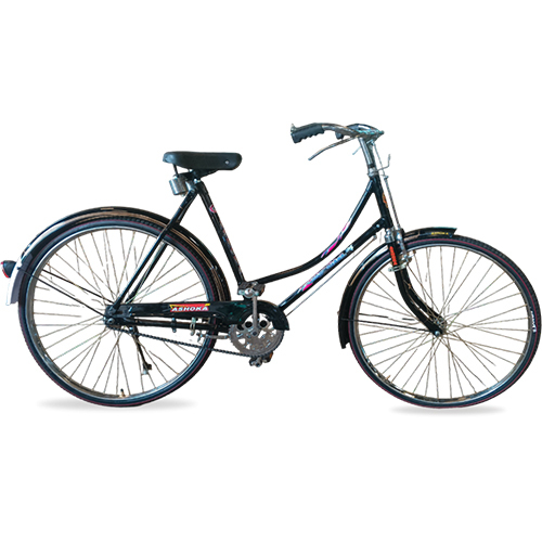 22 Inch Ashoka City Girl Bicycles