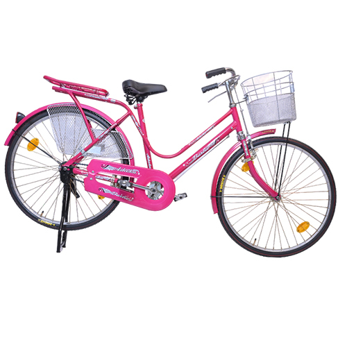 20 Inch Ashoka Barbie IBC Bicycles