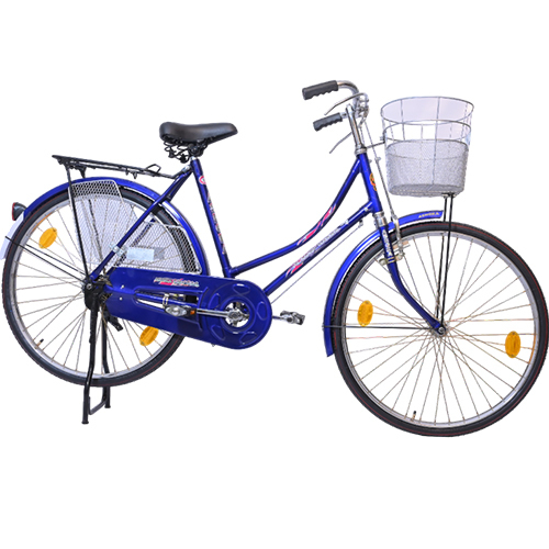 20 Inch Ashoka City Girl Bicycles