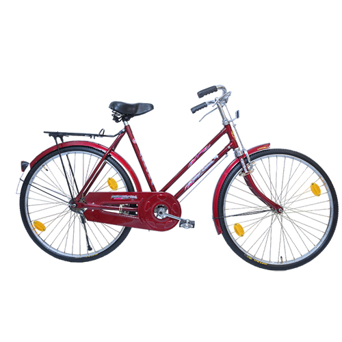 Ashoka City Girl ZX Parallel Bar Bicycles