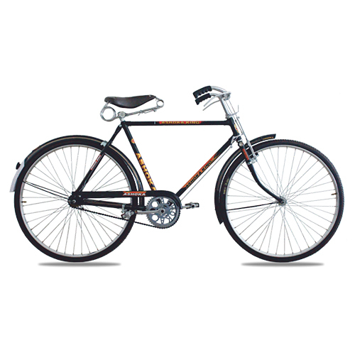 22 Inch Ashoka RL-T Bicycles