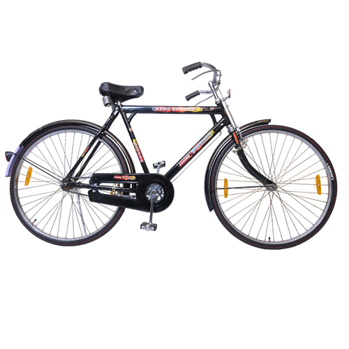 22 Inch Ashoka Turbo Bicycles