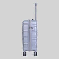 grey cabin travel trolley bag
