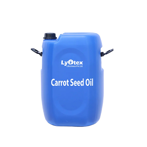 10 Litre Carrot Seed Oil