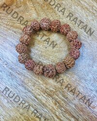Natural 5 Mukhi Nepal Rudraksha Bracelet - Occasion: Religious Or Daily