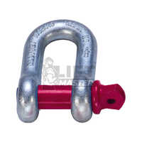 D Shackle Screw Pin