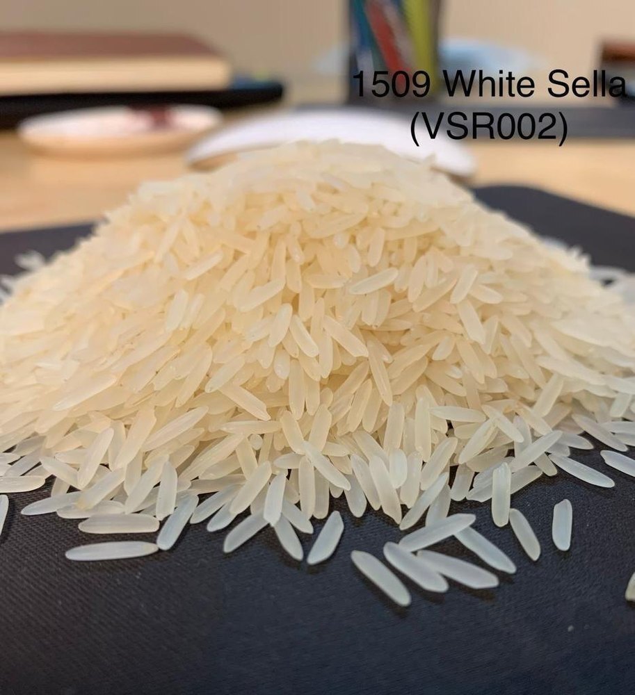 Basmati rice 1509