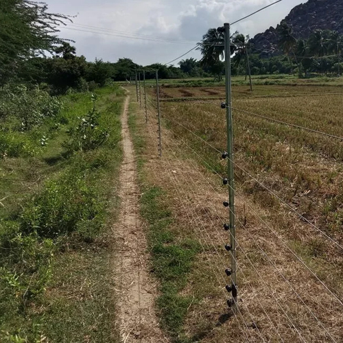 1000 मीटर सौर ऊर्जा बाड़
