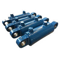 Welded Hydraulic Cylinder - Color: Blue