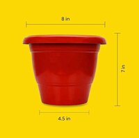Plastic Flower Pot