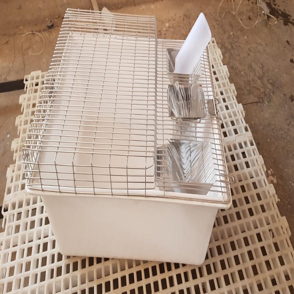 Polypropylene Mice Cages - Application: Industrial