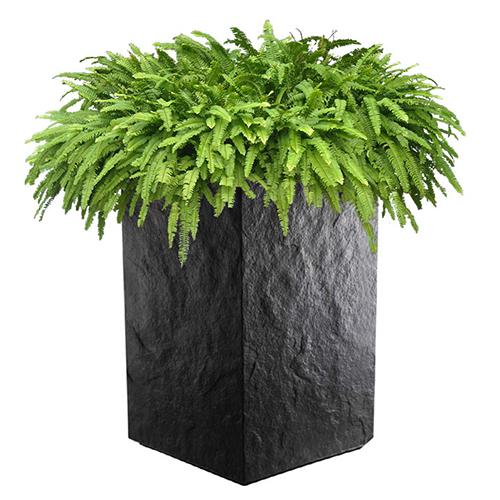 Stone Craft Planter