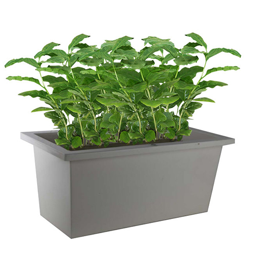 Recta Planter