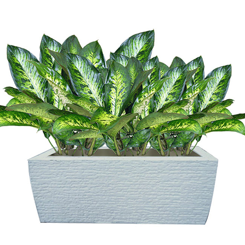 Marbry Planter
