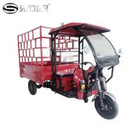 Manual E Rickshaw Loader - Motor Power: 750 Watt (w)