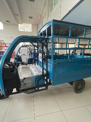 E Rickshaw Food Cart