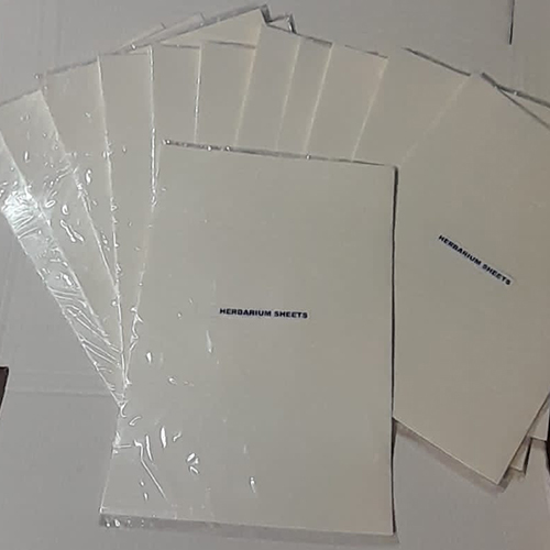 Herbarium Paper