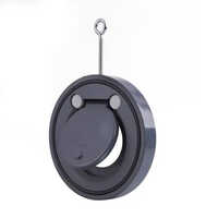 Single Piece Wafer Check Valve