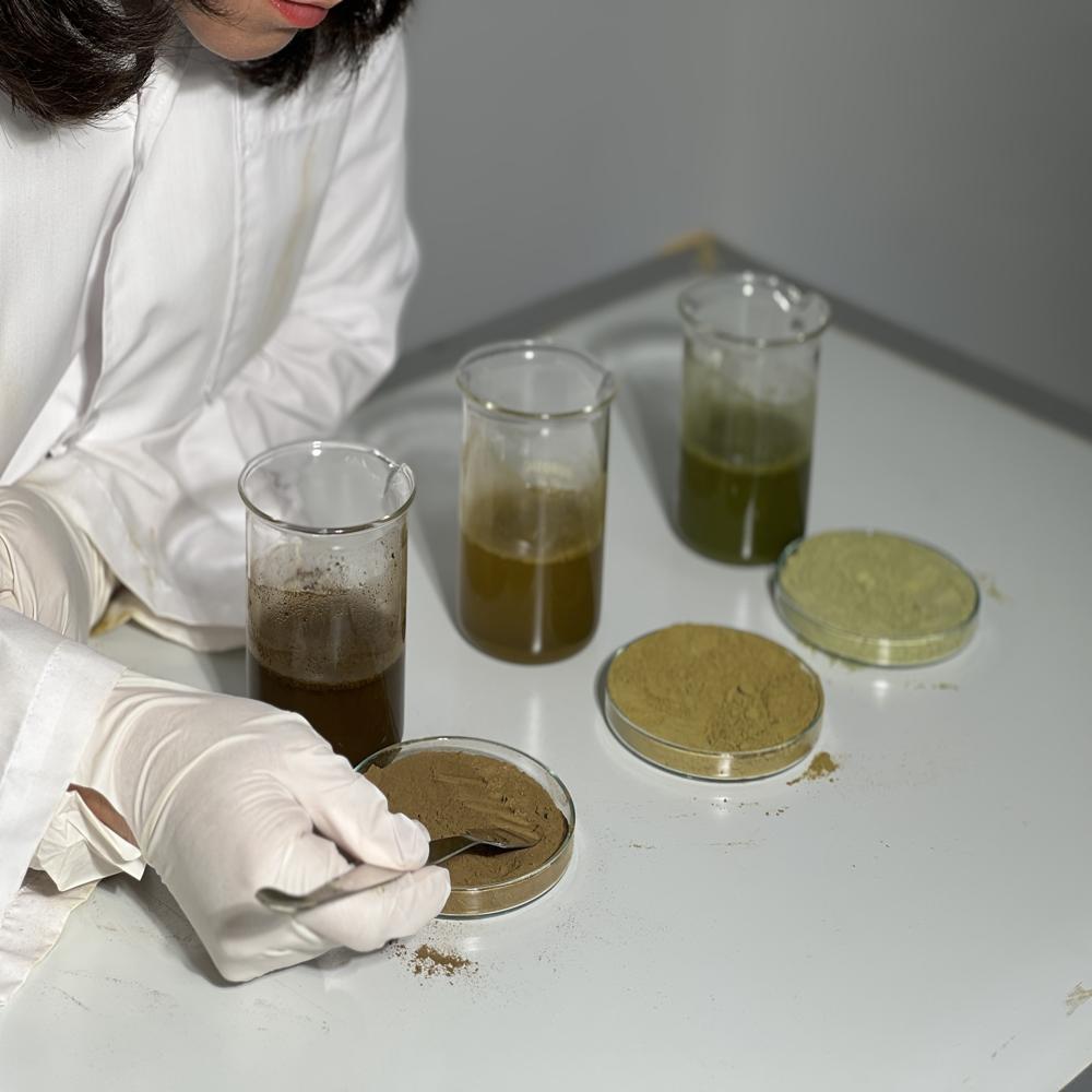 Premium Thai Kratom - Dried Leaves Powder
