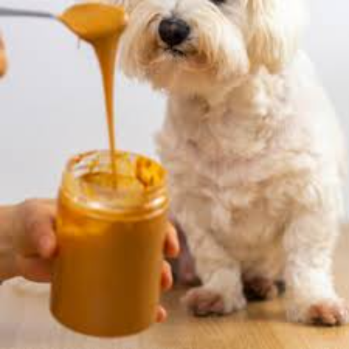 Flavor: Unsalted Pet friendly Peanut Butter