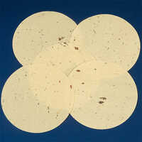 Udad Papad