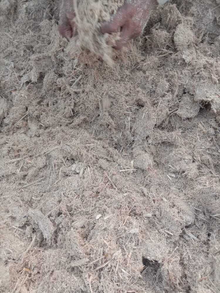 Sugarcane Baggase - Color: Silver Gray & Metallic