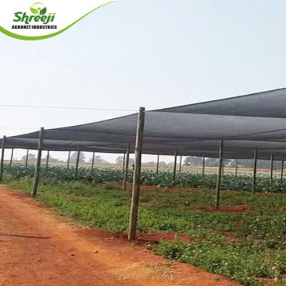Anti Hail Net - Coating Type: Color Coated