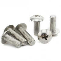 Ss Truss Head Screw - Color: Silver