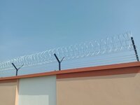 Galvanized Iron Concertina Wire - Color: Silver