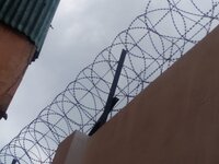 Concertina Wire Fencing - Color: Silver