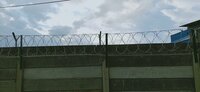 1000 Mm Dia Concertina Wire - Color: Silver