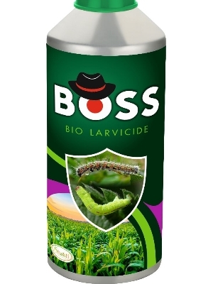 बॉस लार्विसाइड