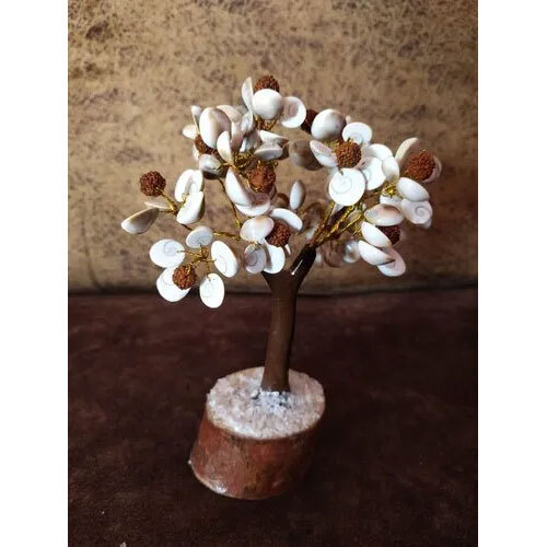 Gomti Chakra Rudraksha Tree