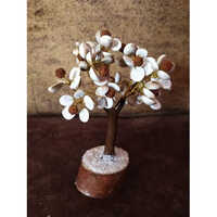 Gomti Chakra Rudraksha Tree - Color: Brown