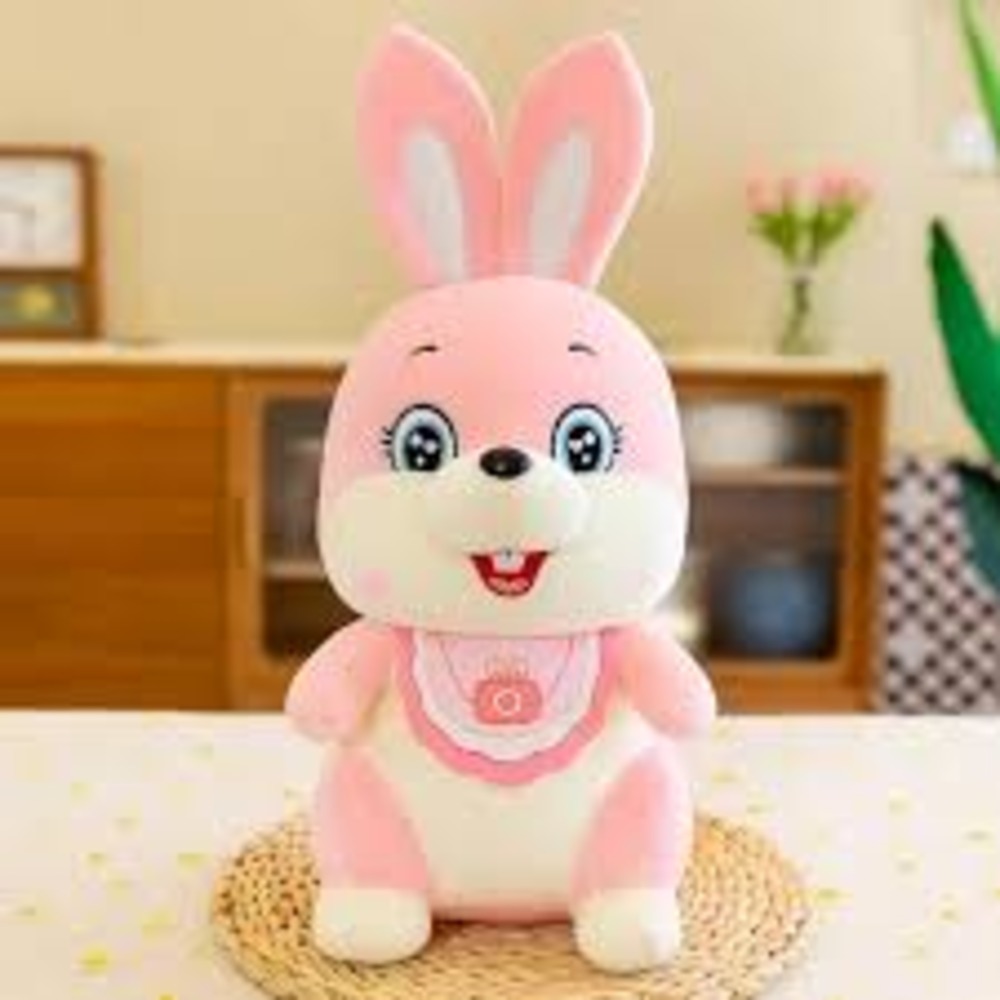 Rabbit Soft Toy - Color: Multicolor