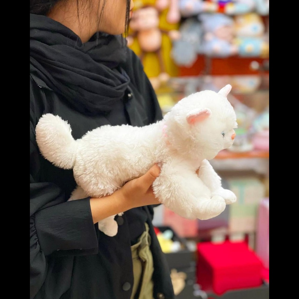 Cat Soft Toys - Color: Multicolor