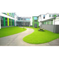 Hiya Residential Artificial Grass - Feature: Easy To Clean