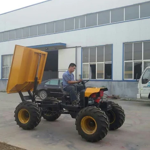 Multi Function Mini Dumper