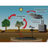 Advanced Bio Mass Pellet Making Plant - Automatic Grade: Automatic