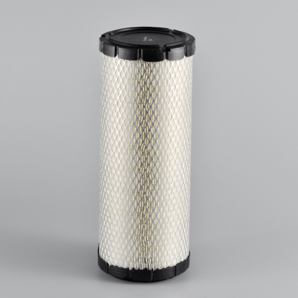 Donaldson P821575 Air Filter