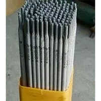 Stainless Steel Electrode