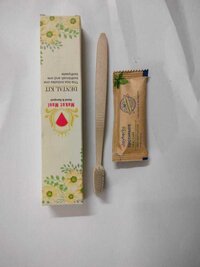 Hotel Dental Couple Kit