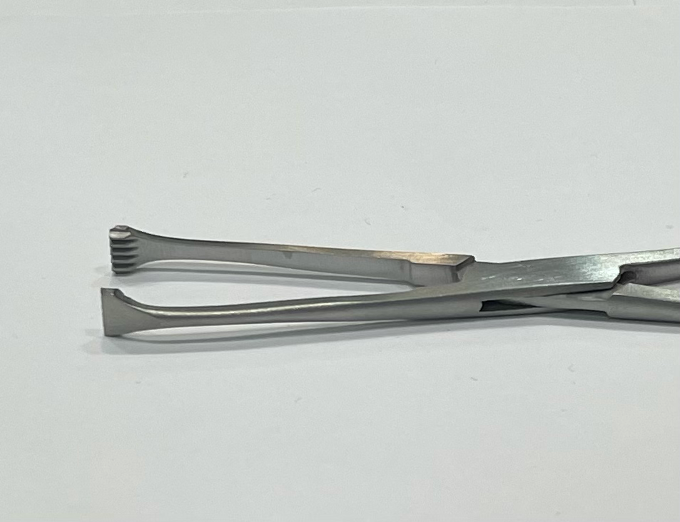 Allis Tissue Forceps - 10'' Inch - Application: Veterinary Purpose