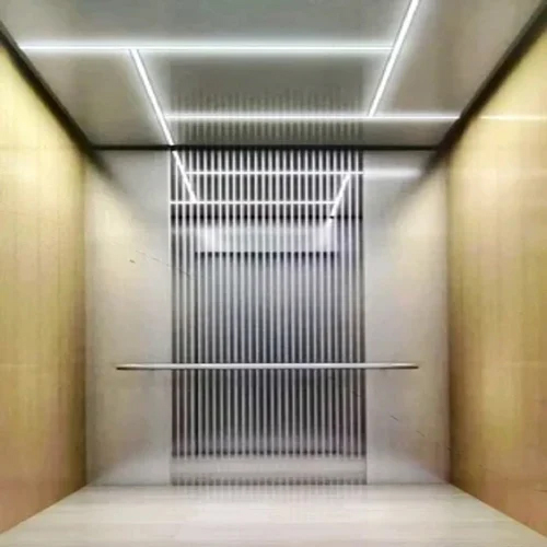 Stainless Steel Passenger Elevator - Capacity: 550 Kg