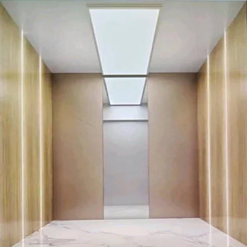 Mall Electric Passenger Lift - Material: Stainless Steel