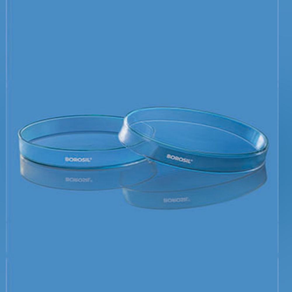 Glass Petri Dish - Color: Transparent
