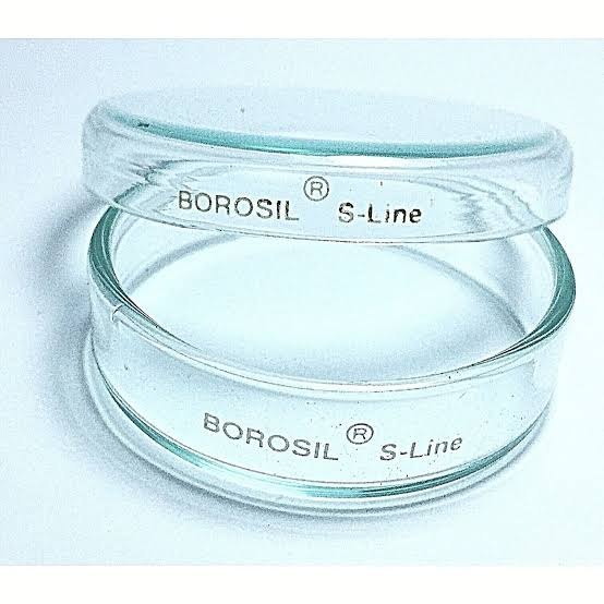 Glass Petri Dish - Color: Transparent