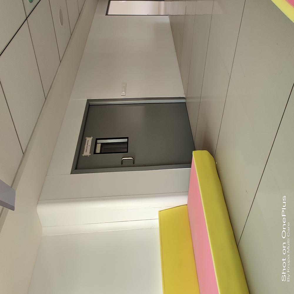 OPD Flush Door