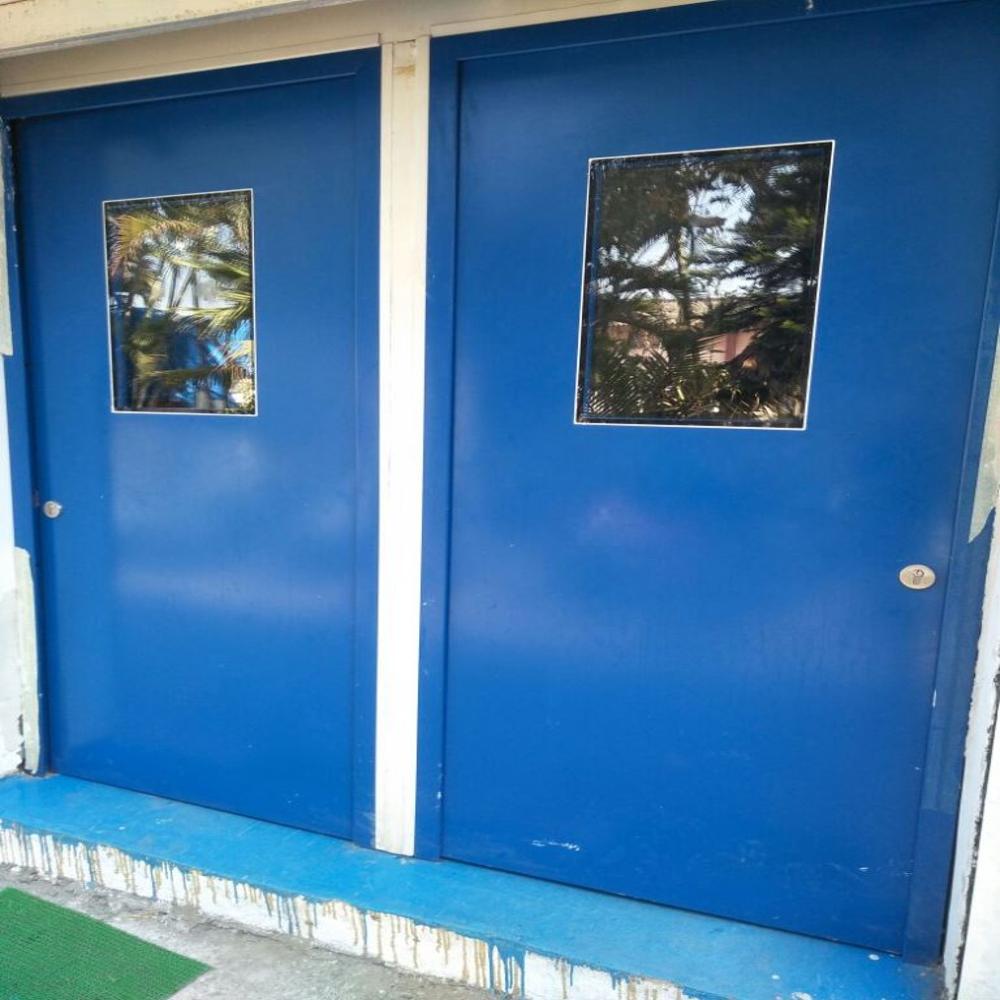 Clean Room Flush Door